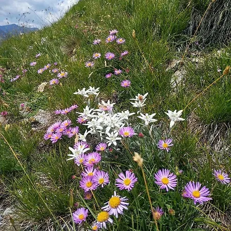 度假居 Chez Bonjour