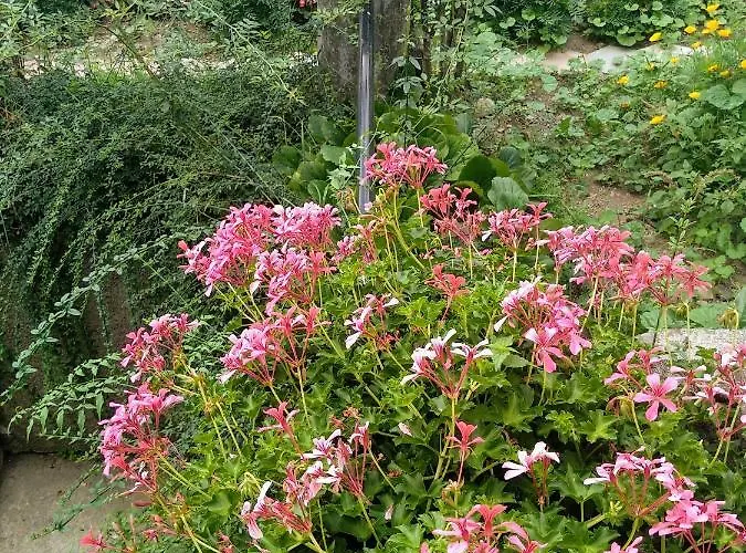 Prázdninový dům Chez Bonjour Villar Pellice