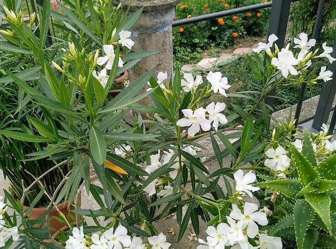 Prázdninový dům Chez Bonjour *