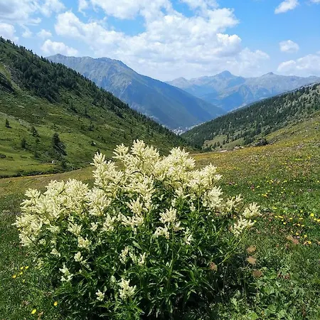 Chez Bonjour * Villar Pellice