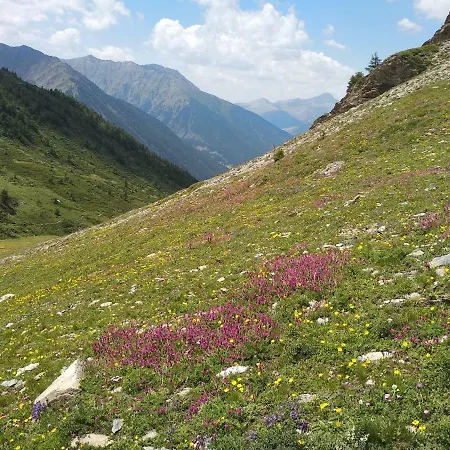 Дом отдыха Chez Bonjour Villar Pellice