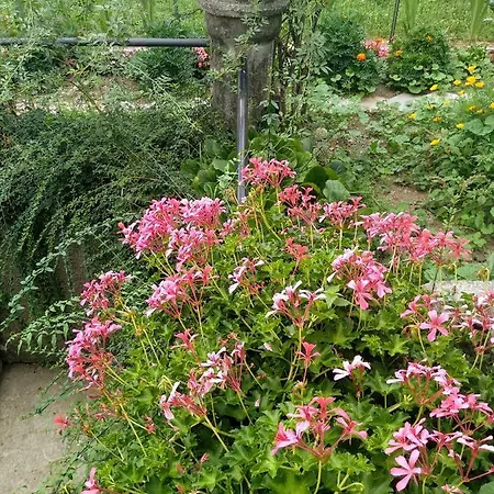 בית נופש Chez Bonjour Villar Pellice