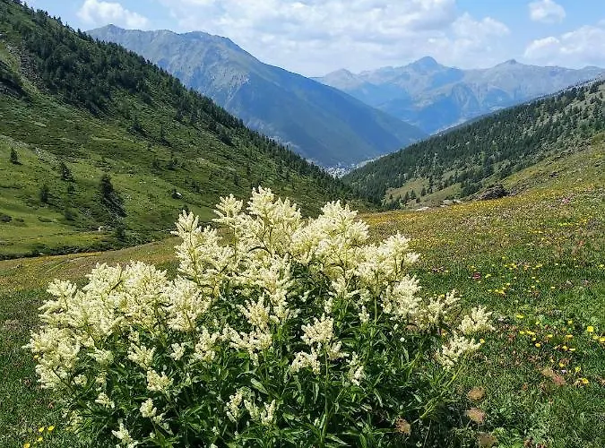 Chez Bonjour * Villar Pellice